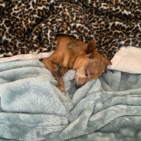 Meet your Posher, Janelle aka bohemiansales - Picture 9 of 15